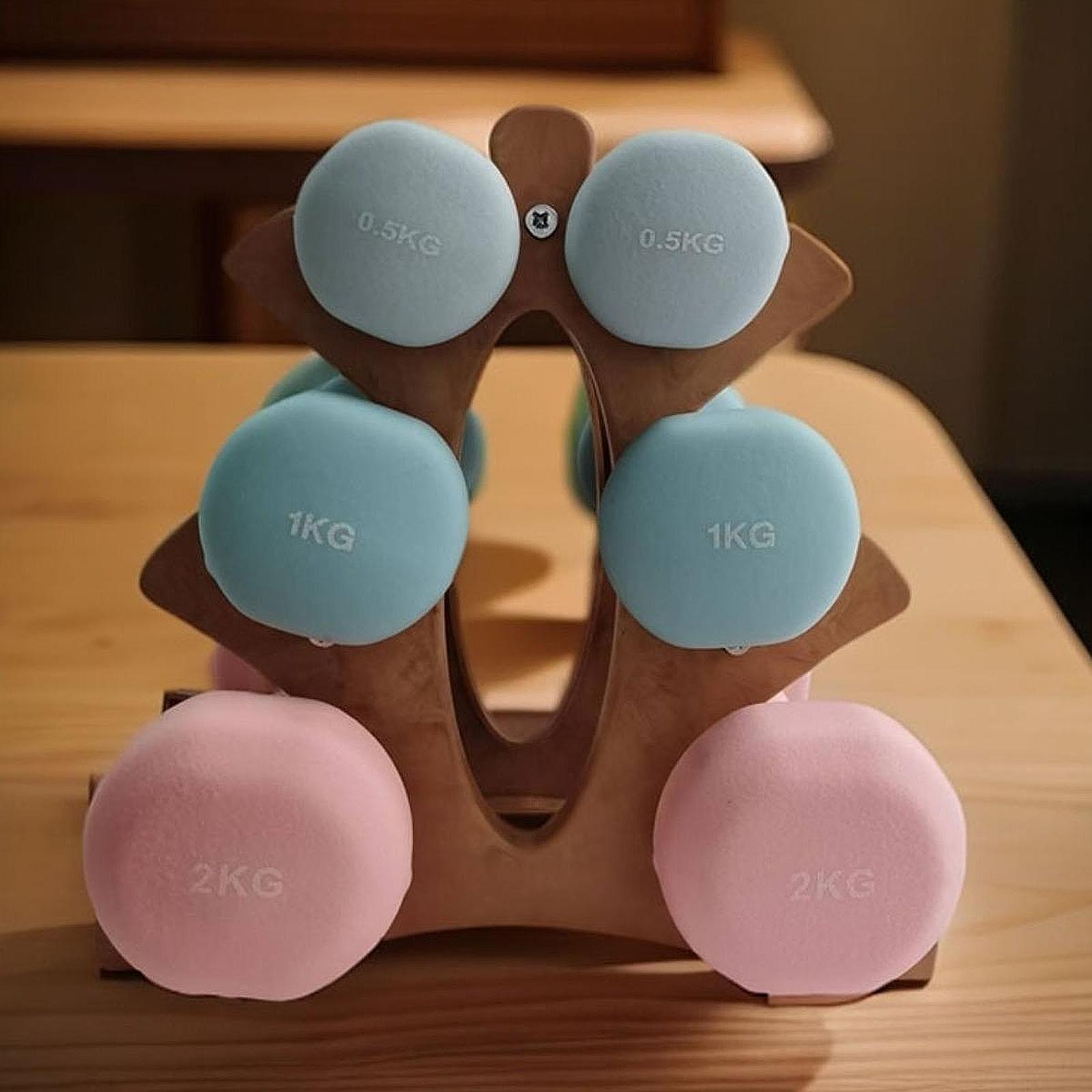 Three Tier Dumbbells Rack Heav - Home Gym Dumbbell Workout ulasan dan harga