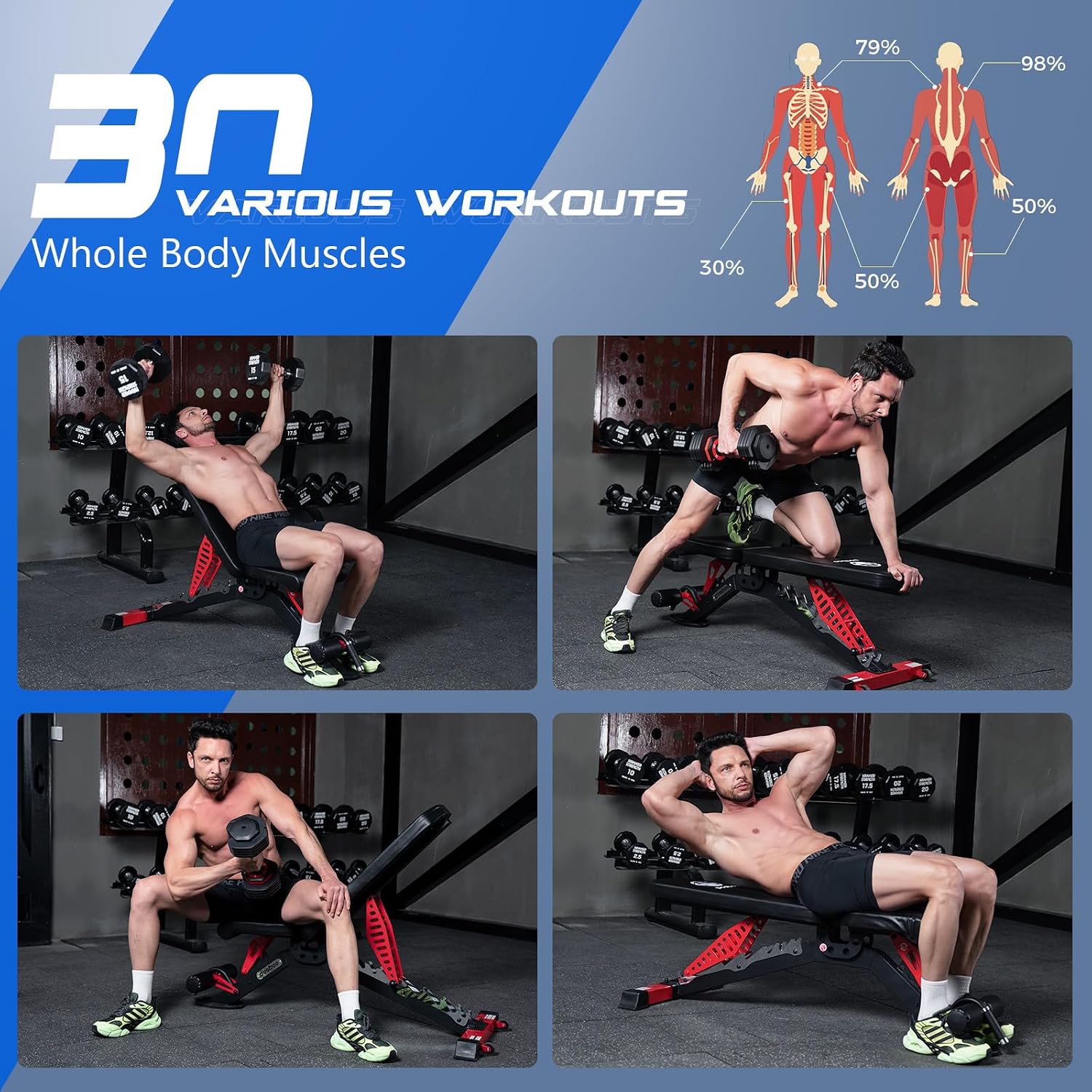 Adjustable Weight Bench, 1500  - Home Gym Weights ulasan dan harga