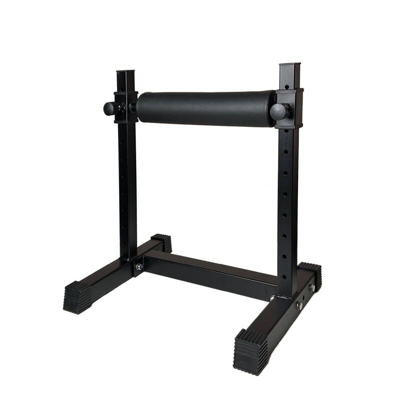 Adjustable Single Leg Squat St - Home Gym Design ulasan dan harga